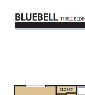 Bluebell